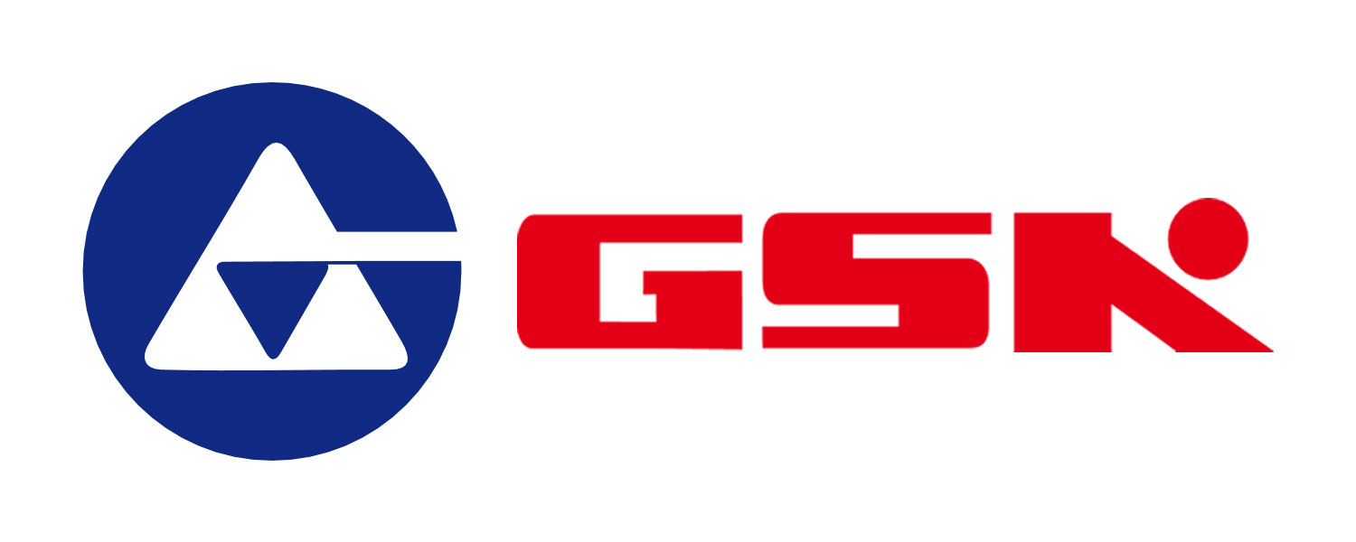 gsk2-2